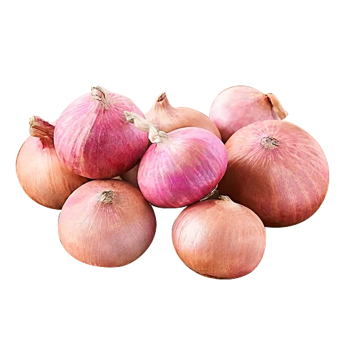 Onion
