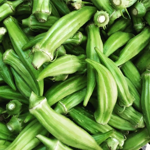 Ladyfinger