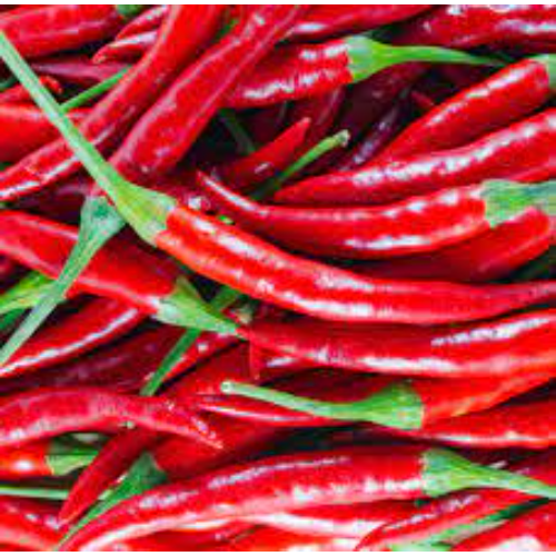 Red chilli