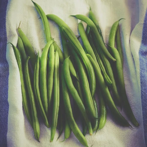 Beans