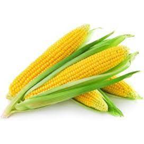 corn