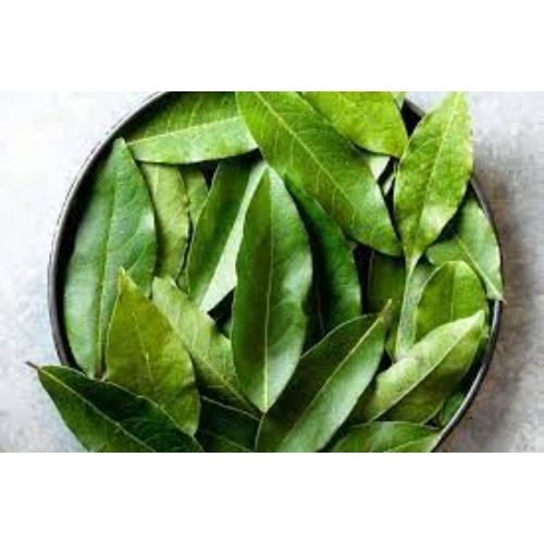 Bay leaf