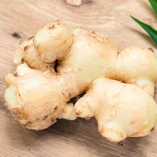 Ginger
