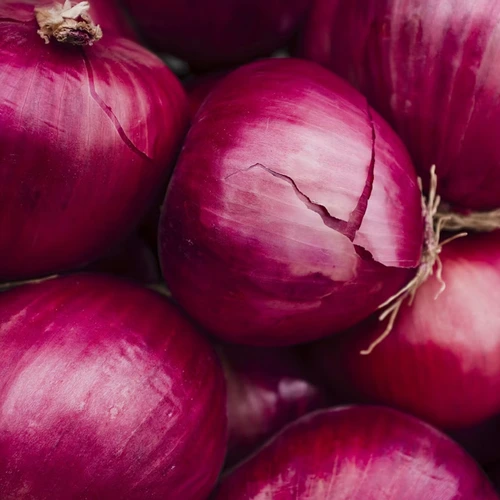 Onion