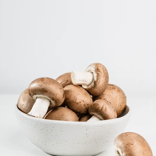 Mushroom