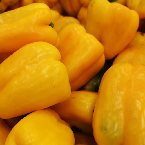 Capsicum Yellow
