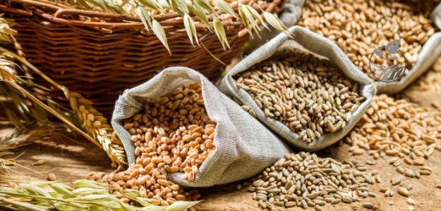 Everyday Grains